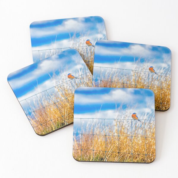 Item preview, Eastern Bluebird On Fence designed and sold by Robert Alsop.