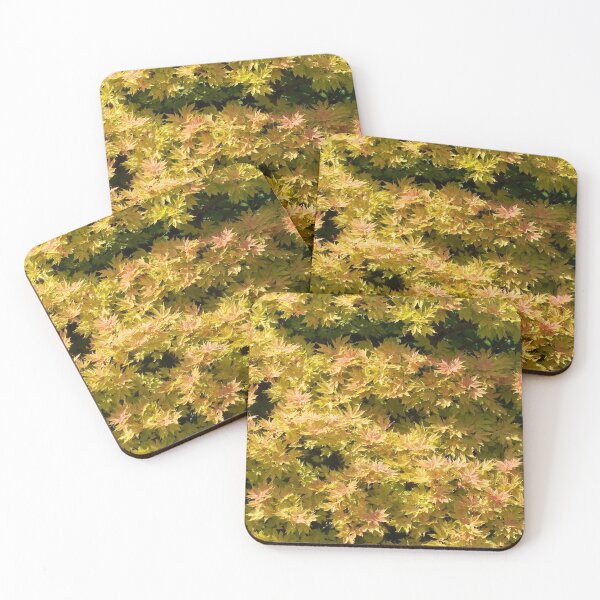 Item preview, Yellow maple designed and sold by Boscastle.