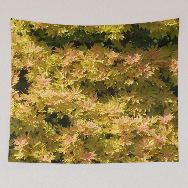 Item preview, Yellow maple designed and sold by Boscastle.