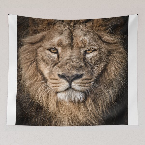 Item preview, Portrait of a lion designed and sold by Darren Wilkes.