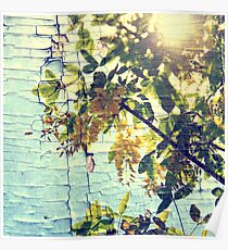 Busy bee and locust tree Poster