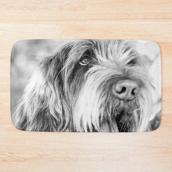 Item preview, Nothing but love Spinone designed and sold by FOLK ART FUSION by heidiannemorris.