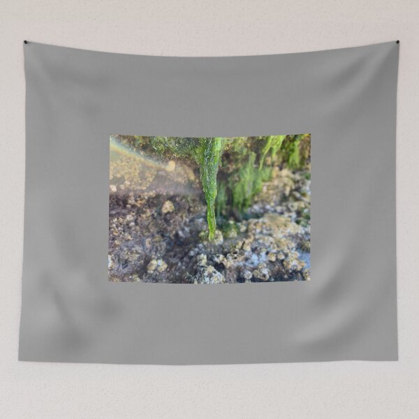 Item preview, Mossicle designed and sold by IBMClothing.