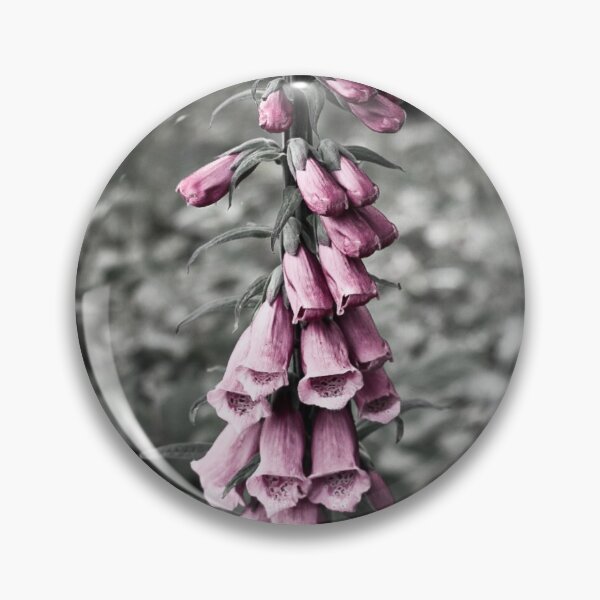 Item preview, Pearls. designed and sold by shesjustcurious.