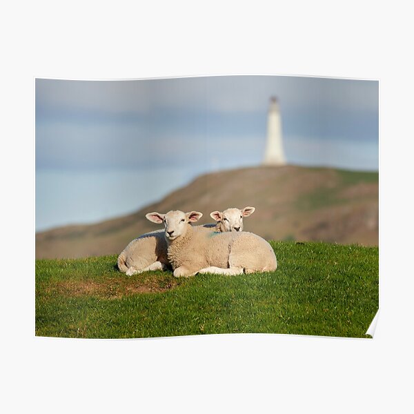 Lambs and Hoad Monument Poster