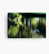 Serenity Canvas Print
