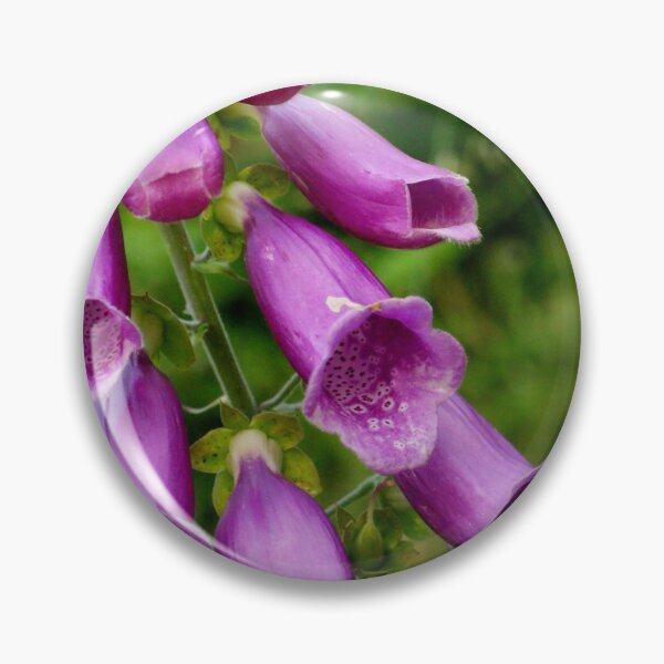 Item preview, Where The Flower Fairies Go designed and sold by Lucy Onions.