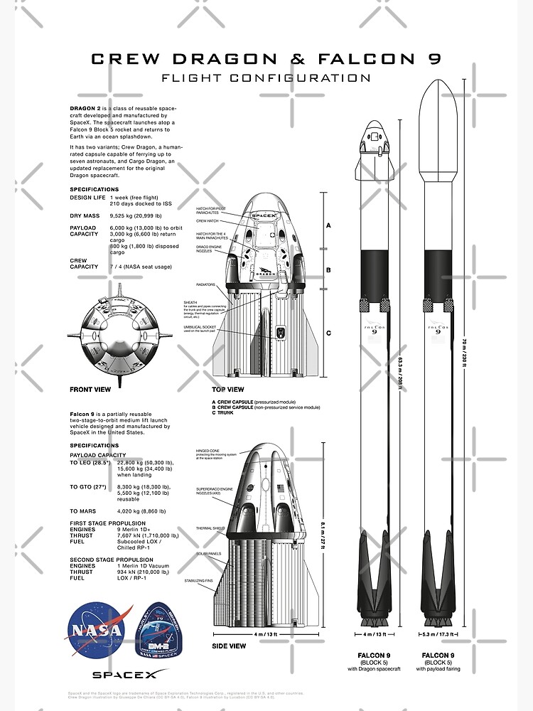 NASA SpaceX Crew Dragon Spacecraft & Falcon 9 Rocket Blueprint in High Resolution (white) by RHorowitz