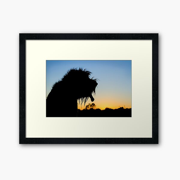 Silhouette Spinone Framed Art Print