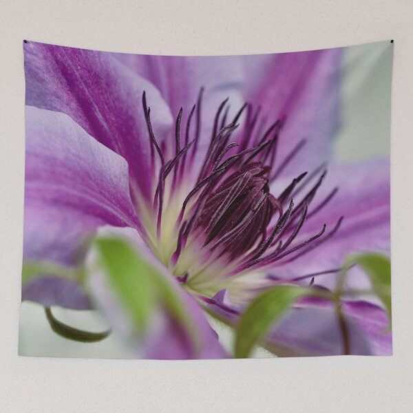 Item preview, Flower Close Up designed and sold by Dawn van Doorn.