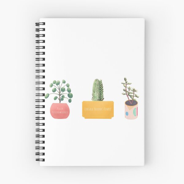 Item preview, Crassula Buddha's Temple Crassula Ovata and Pilea Peperomioides triplet - from "Paint my plants" series designed and sold by tomkaanna.