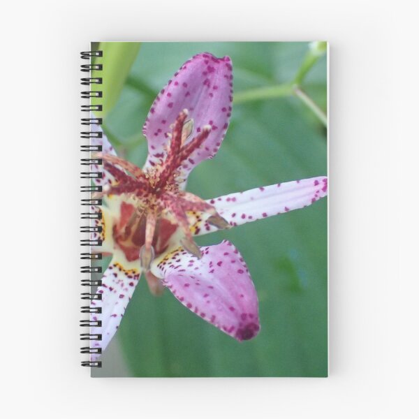 Item preview, Flower 7 designed and sold by Chloé Sauvage.