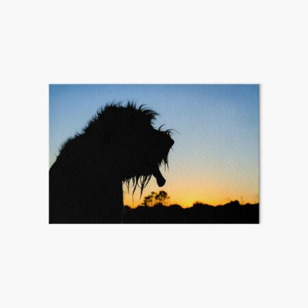 Silhouette Spinone Art Board Print