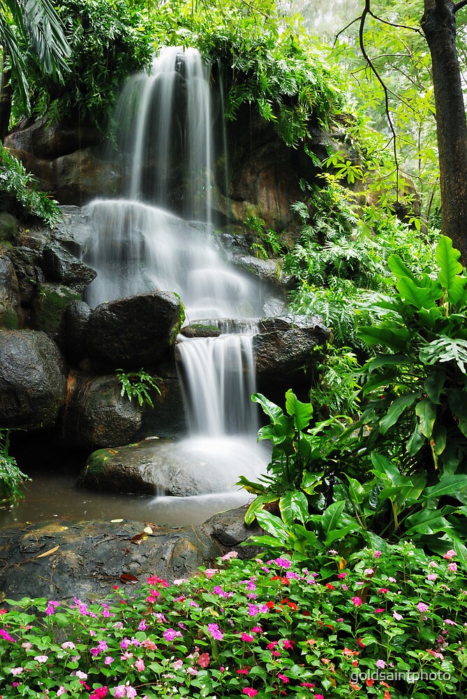 waterfall and the beautiful flowers in the garden by goldsaintphoto - Beautiful Flower Gardens Waterfalls waterfall and the beautiful flowers in the garden by goldsaintphoto - Beautiful Flower Gardens Waterfalls