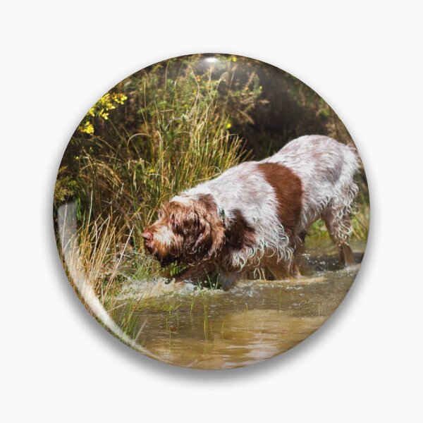 Item preview, Water stalking Spinone designed and sold by FOLK ART FUSION by heidiannemorris.