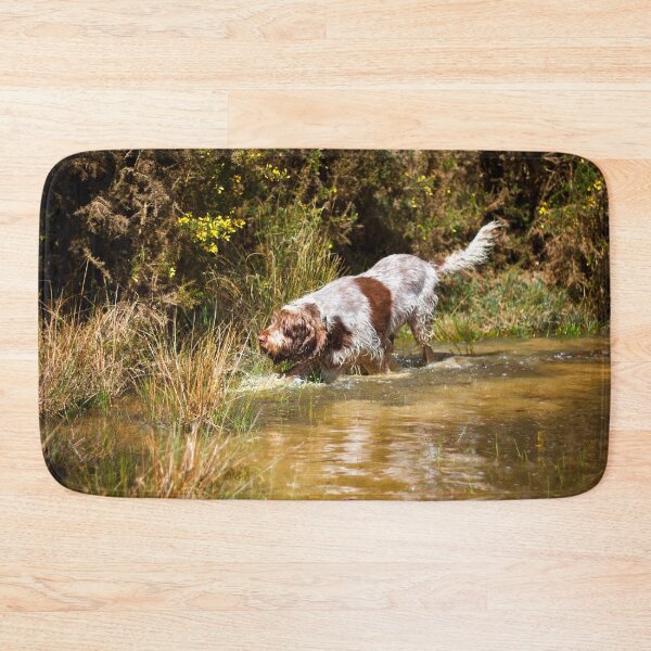 Item preview, Water stalking Spinone designed and sold by FOLK ART FUSION by heidiannemorris.