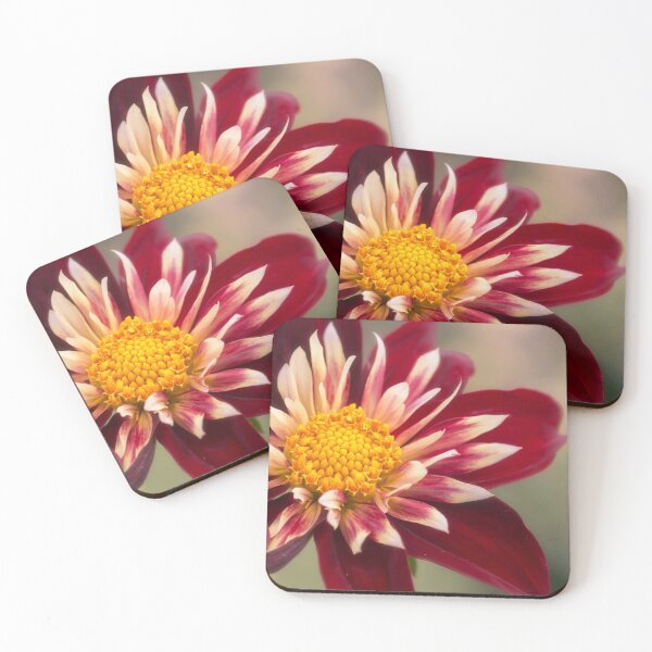 Item preview,  Dahlia Chimborazo. designed and sold by John Ray.