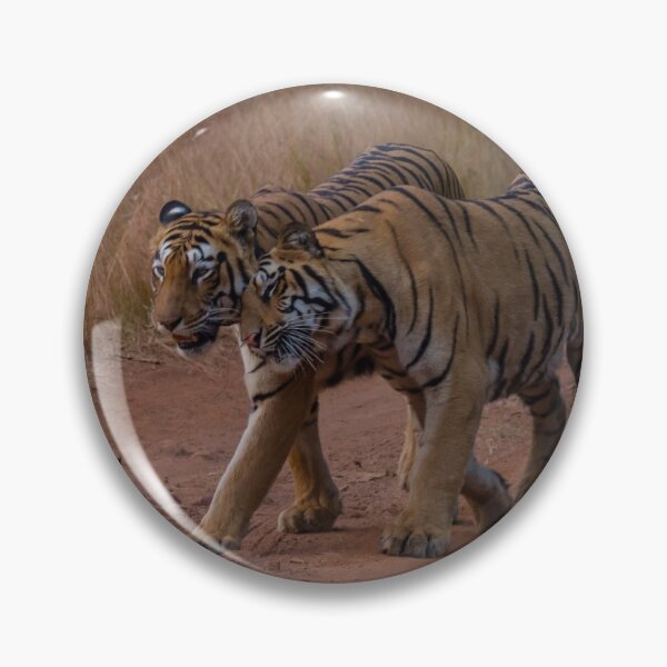Item preview, Tigres de bengala designed and sold by Kevin Tappenden.