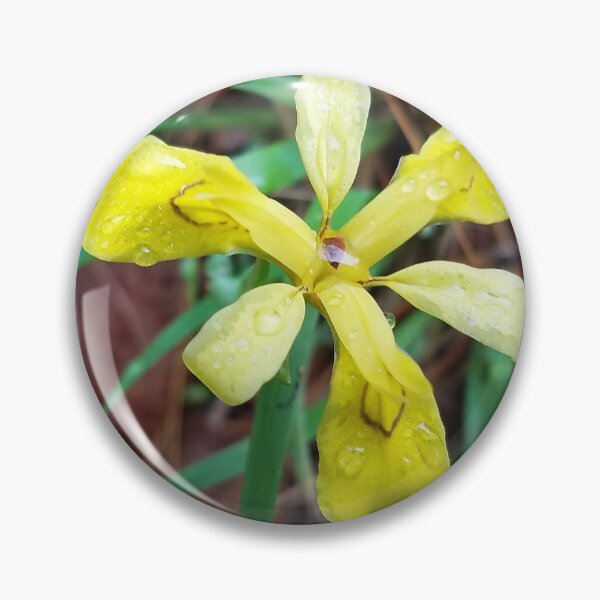 Item preview, Iris Koreana - floral sunshine on a rainy day designed and sold by rvjames.