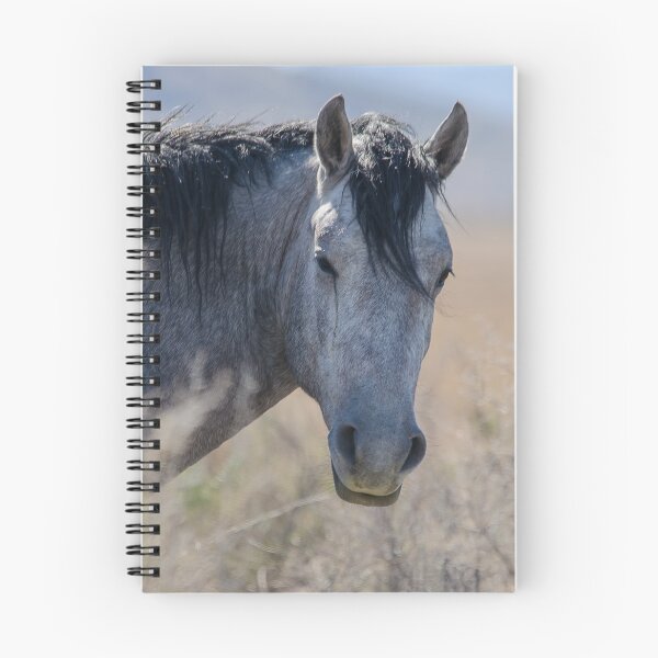 Item preview, I told you, I can see you … Wild Mustang Mare designed and sold by Nicole  Markmann Nelson.