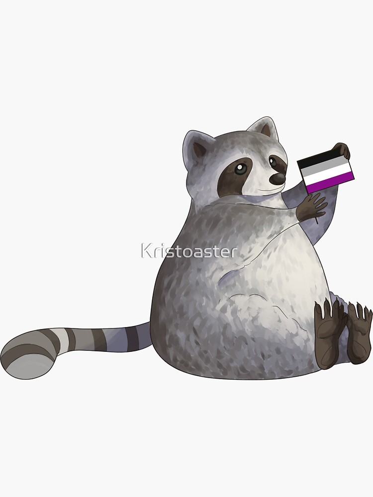 Asexual Pride Raccoon Sticker By Kristoaster Redbubble 4452