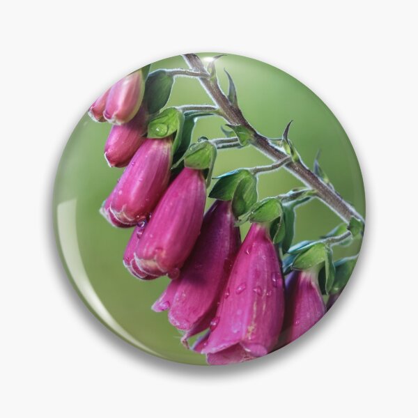 Item preview, Foxglove. designed and sold by John Ray.