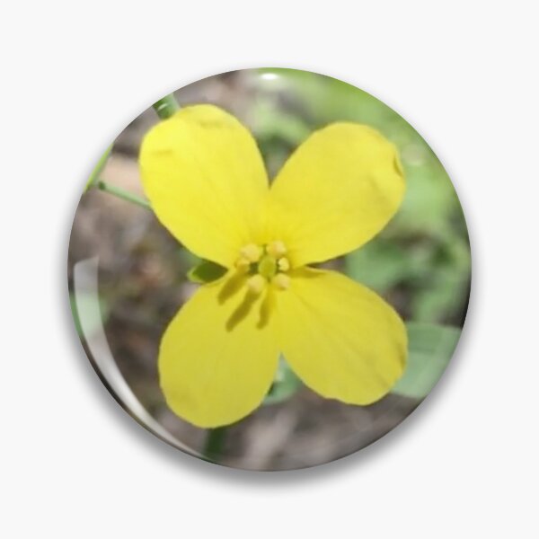 Item preview, Four Petal Wildflower   designed and sold by Amanda1775.