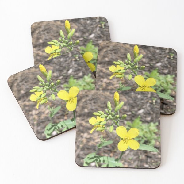 Item preview, Four Petal Wildflower   designed and sold by Amanda1775.