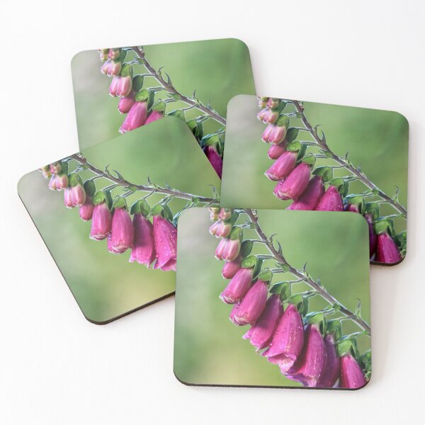 Item preview, Foxglove. designed and sold by John Ray.