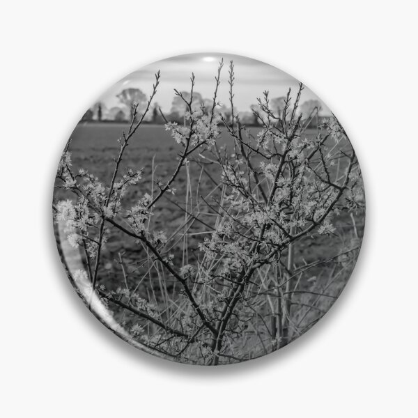 Item preview, Close up of a hedge plant in the Norfolk countryside designed and sold by yackers1.