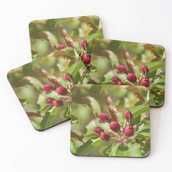 Item preview, red flower buds designed and sold by mrivserg.