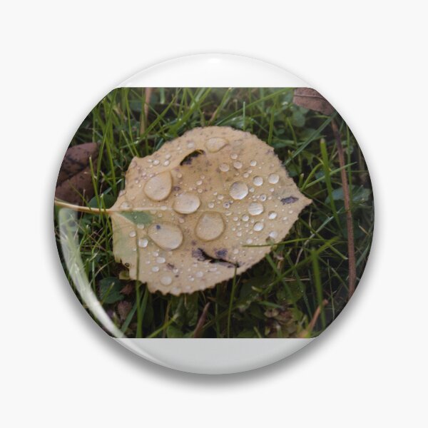 Item preview, Leaf with water droplets designed and sold by Sara G.