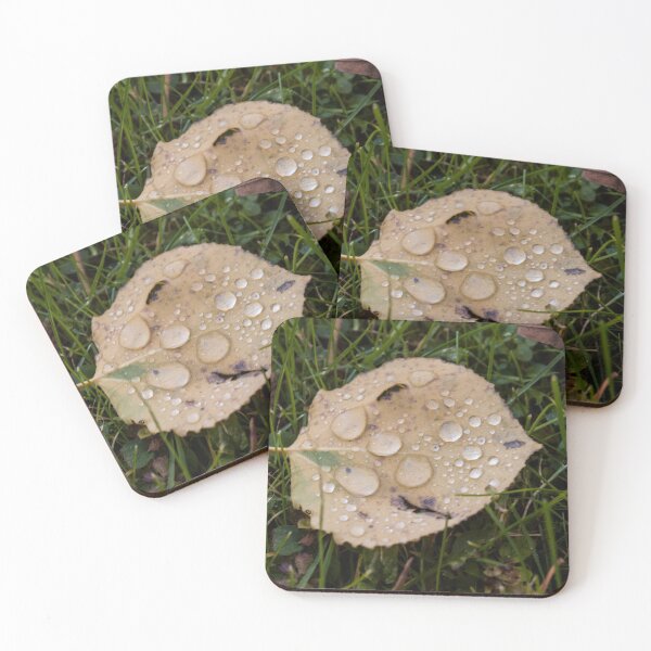 Item preview, Leaf with water droplets designed and sold by Sara G.
