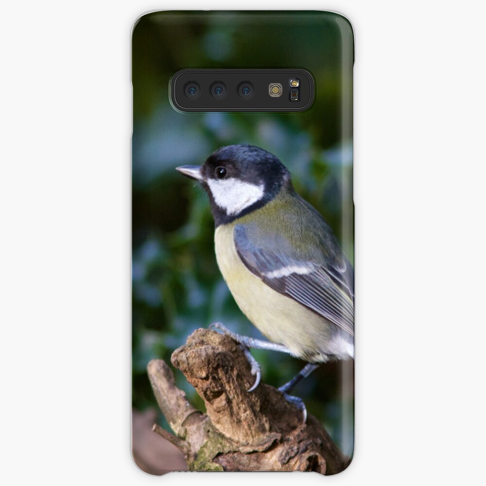 A Great Tit (Parus Major) Perched in Woodland Case & Skin for Samsung Galaxy