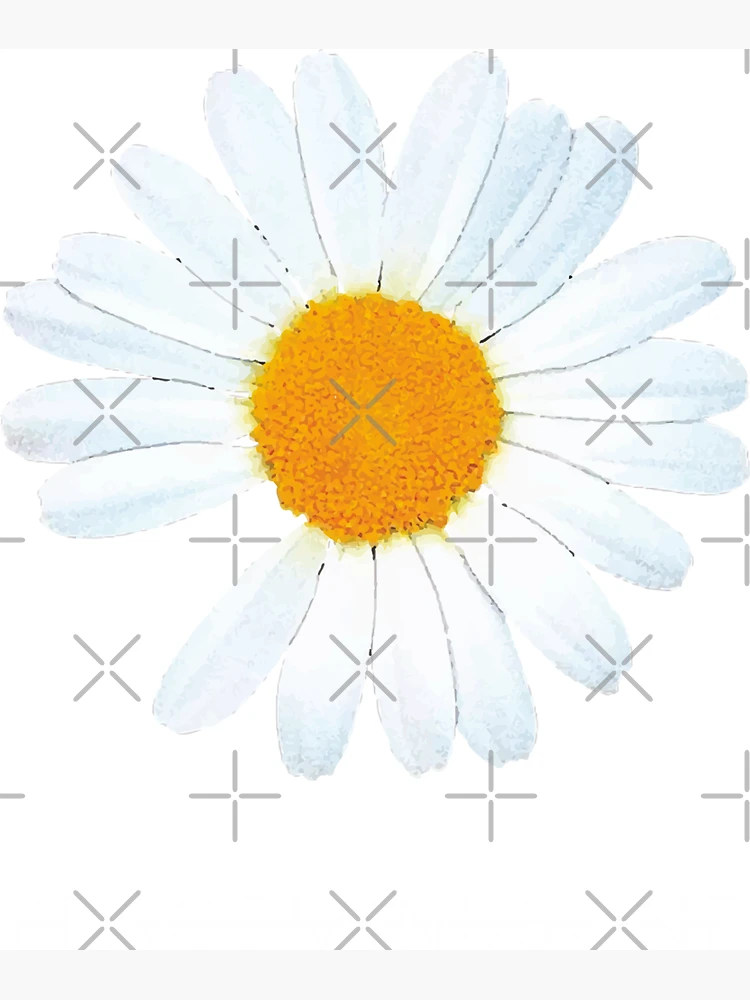 flat,750x,075,f-pad,750x1000,