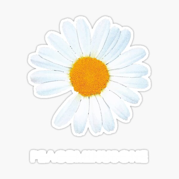 ★入手困難★PEACEMINUSONE Daisy Corsage #1 White Simply Daisies Corsage | Baltimore-Annapolis (MD) Corsage