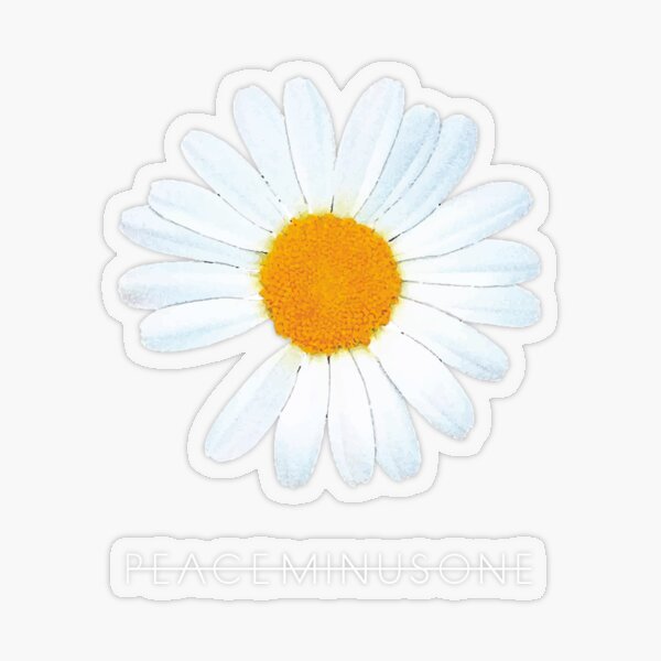 G-Dragon Peaceminusone Daisy Flower (Ania Mardrosyan