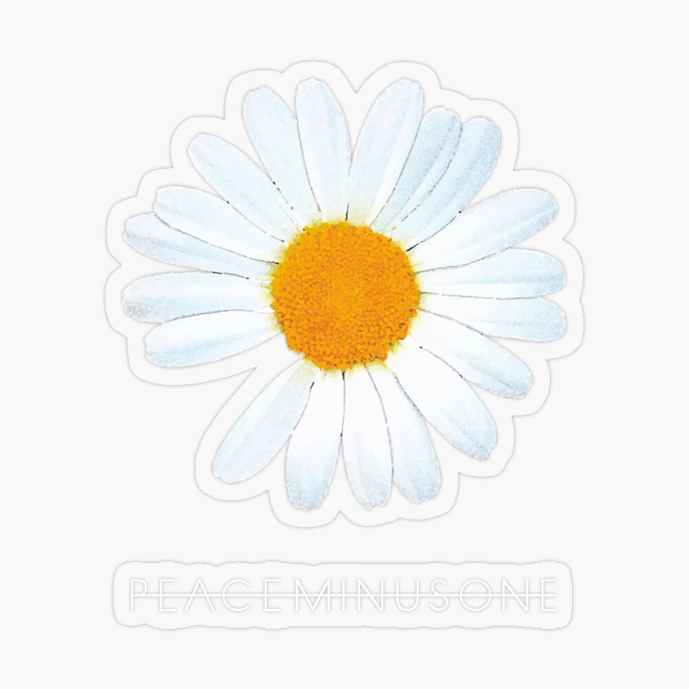★入手困難★PEACEMINUSONE Daisy Corsage #1 White PMO®➖DAISY CORSAGE #1