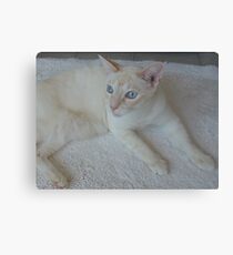 Heatwave Canvas Print
