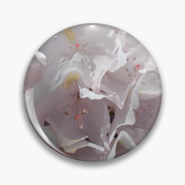 Item preview, Pastel Pink #2 designed and sold by Tamara McDonnell.