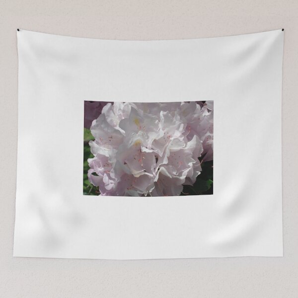 Item preview, Pastel Pink #2 designed and sold by Tamara McDonnell.