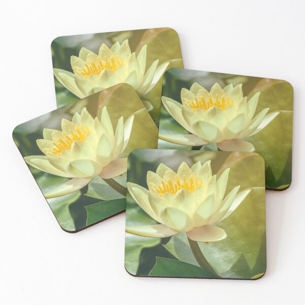 Item preview, white water lily designed and sold by jvnimages.