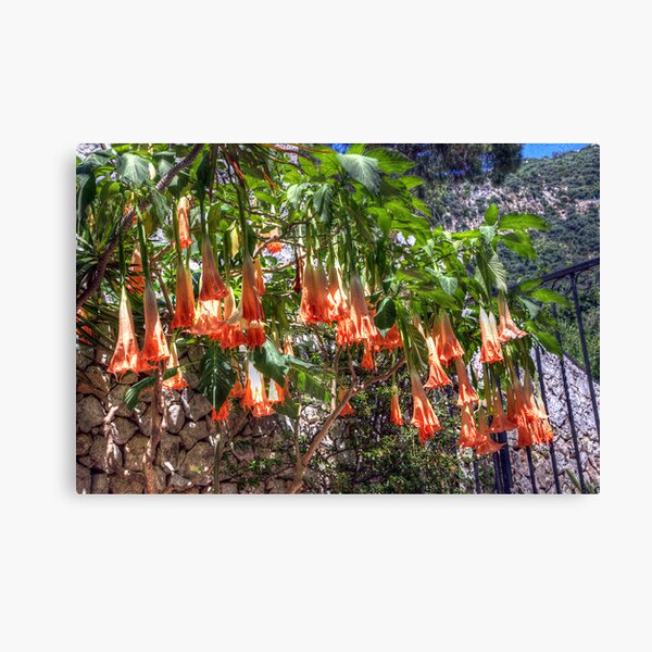 Calendar May Canvas Print