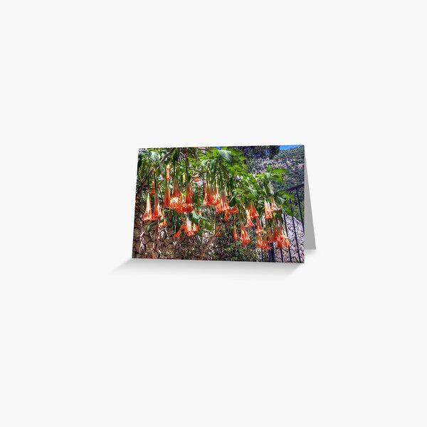 Calendar May Greeting Card