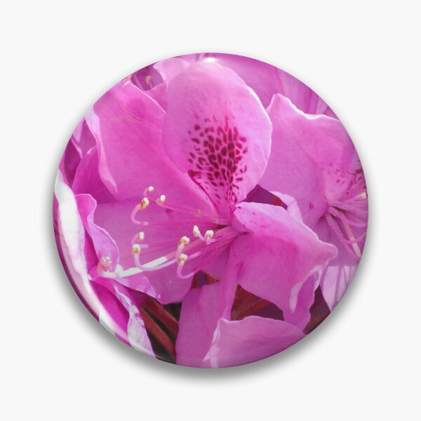 Item preview, Elegant Pink designed and sold by Tamara McDonnell.