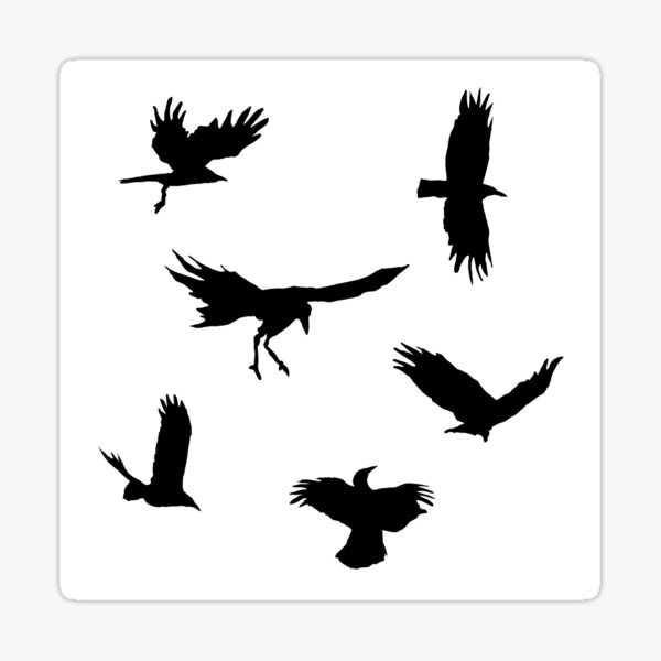 "A Flock of Crows " Sticker for Sale by TobyLattimore Redbubble