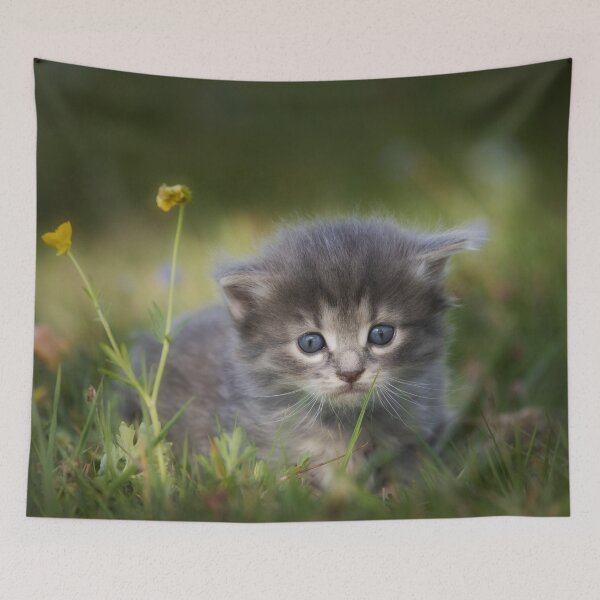 Item preview, Cute Kitten designed and sold by Dawn van Doorn.