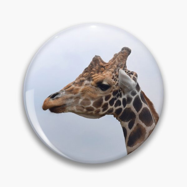Item preview, Giraffe Photo 106 designed and sold by artbylucie.