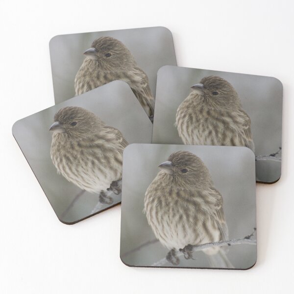 Item preview, Female House Finch designed and sold by maddiebusick.