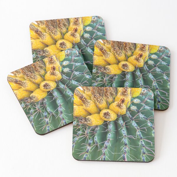 Item preview, Barrel Cactus designed and sold by jvnimages.